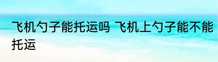 飞机勺子能托运吗 飞机上勺子能不能托运