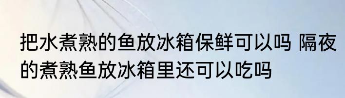 把水煮熟的鱼放冰箱保鲜可以吗 隔夜的煮熟鱼放冰箱里还可以吃吗