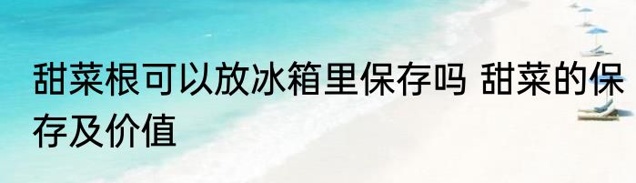 甜菜根可以放冰箱里保存吗 甜菜的保存及价值
