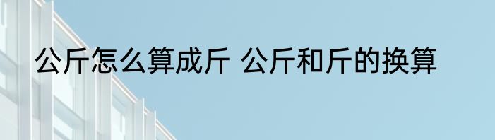 公斤怎么算成斤 公斤和斤的换算