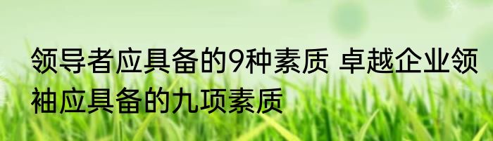 领导者应具备的9种素质 卓越企业领袖应具备的九项素质