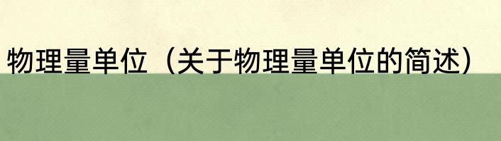 物理量单位（关于物理量单位的简述）