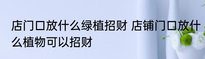 店门口放什么绿植招财 店铺门口放什么植物可以招财