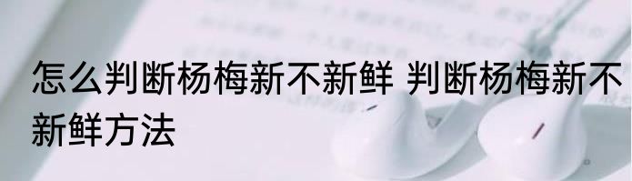怎么判断杨梅新不新鲜 判断杨梅新不新鲜方法