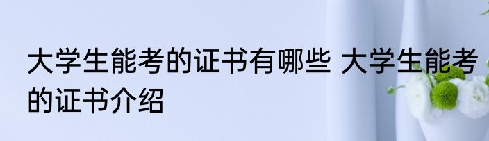 大学生能考的证书有哪些 大学生能考的证书介绍