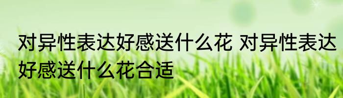 对异性表达好感送什么花 对异性表达好感送什么花合适