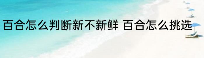 百合怎么判断新不新鲜 百合怎么挑选
