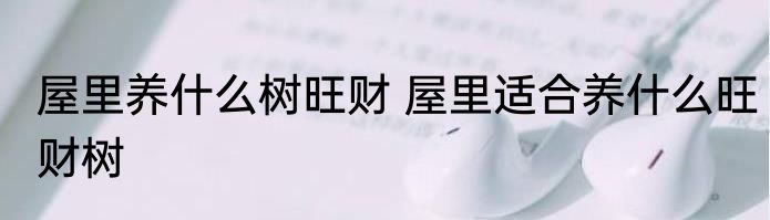 屋里养什么树旺财 屋里适合养什么旺财树