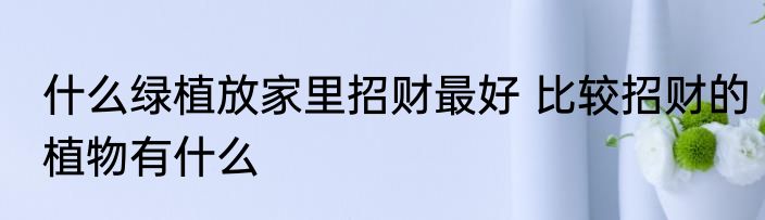 什么绿植放家里招财最好 比较招财的植物有什么