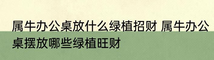 属牛办公桌放什么绿植招财 属牛办公桌摆放哪些绿植旺财