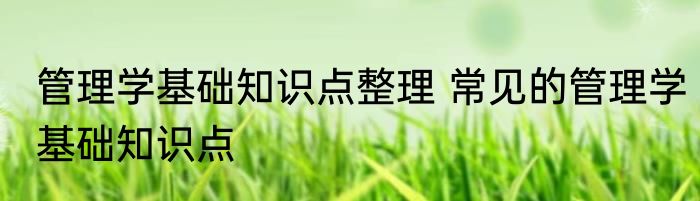 管理学基础知识点整理 常见的管理学基础知识点