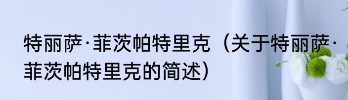 特丽萨·菲茨帕特里克（关于特丽萨·菲茨帕特里克的简述）