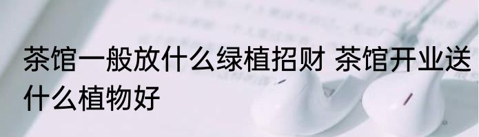 茶馆一般放什么绿植招财 茶馆开业送什么植物好