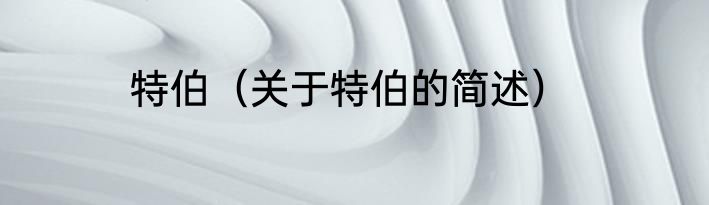 特伯（关于特伯的简述）