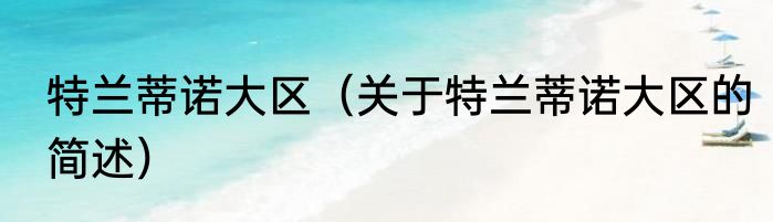 特兰蒂诺大区（关于特兰蒂诺大区的简述）