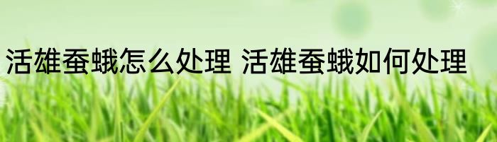 活雄蚕蛾怎么处理 活雄蚕蛾如何处理