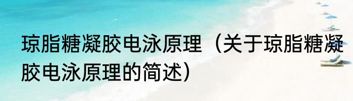 琼脂糖凝胶电泳原理（关于琼脂糖凝胶电泳原理的简述）