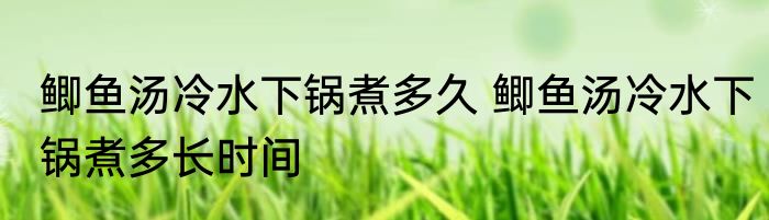 鲫鱼汤冷水下锅煮多久 鲫鱼汤冷水下锅煮多长时间