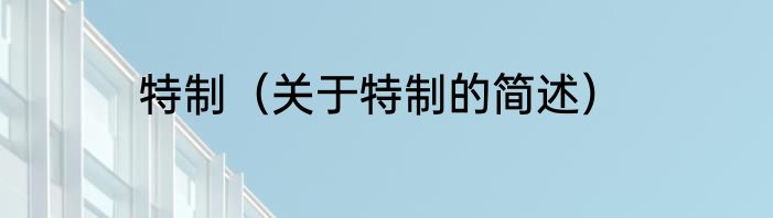 特制（关于特制的简述）