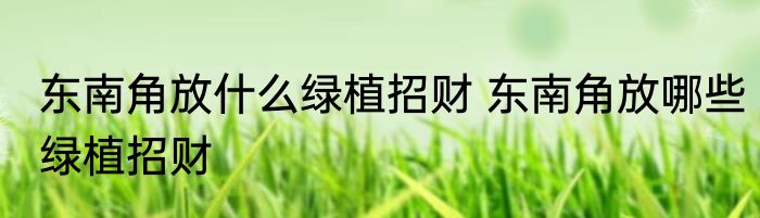 东南角放什么绿植招财 东南角放哪些绿植招财