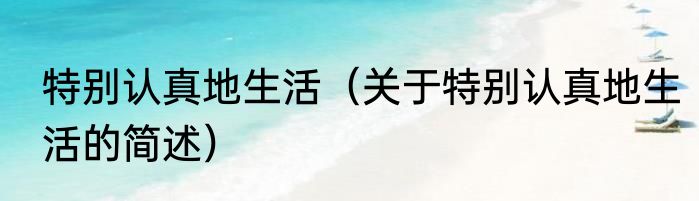 特别认真地生活（关于特别认真地生活的简述）