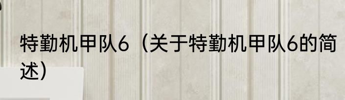 特勤机甲队6（关于特勤机甲队6的简述）