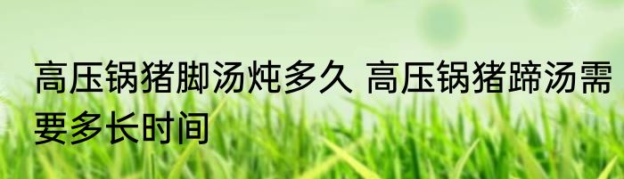 高压锅猪脚汤炖多久 高压锅猪蹄汤需要多长时间