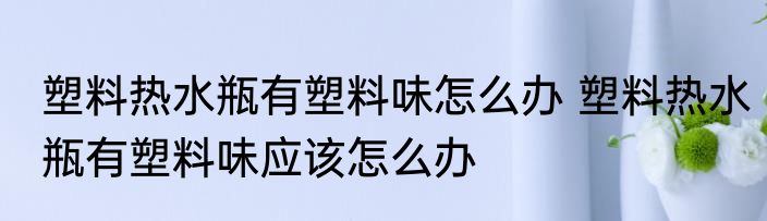 塑料热水瓶有塑料味怎么办 塑料热水瓶有塑料味应该怎么办
