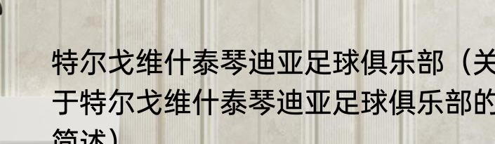 特尔戈维什泰琴迪亚足球俱乐部（关于特尔戈维什泰琴迪亚足球俱乐部的简述）