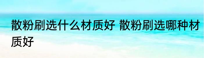 散粉刷选什么材质好 散粉刷选哪种材质好