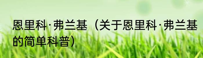 恩里科·弗兰基（关于恩里科·弗兰基的简单科普）