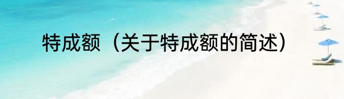 特成额（关于特成额的简述）