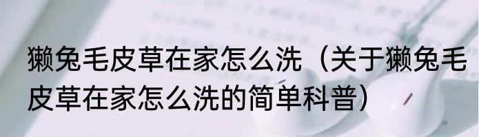 獭兔毛皮草在家怎么洗（关于獭兔毛皮草在家怎么洗的简单科普）