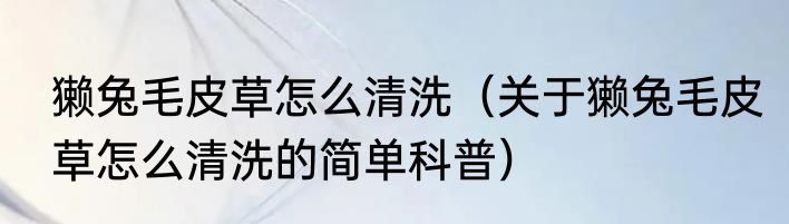 獭兔毛皮草怎么清洗（关于獭兔毛皮草怎么清洗的简单科普）