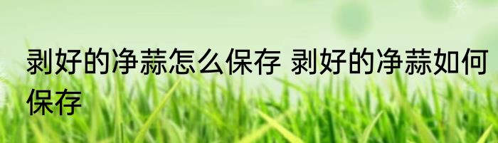 剥好的净蒜怎么保存 剥好的净蒜如何保存