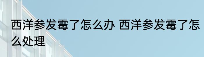 西洋参发霉了怎么办 西洋参发霉了怎么处理