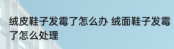 绒皮鞋子发霉了怎么办 绒面鞋子发霉了怎么处理