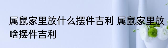 属鼠家里放什么摆件吉利 属鼠家里放啥摆件吉利