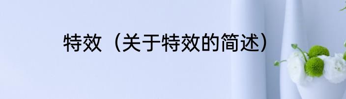 特效（关于特效的简述）