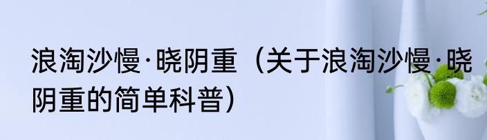 浪淘沙慢·晓阴重（关于浪淘沙慢·晓阴重的简单科普）