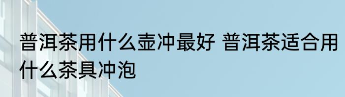 普洱茶用什么壶冲最好 普洱茶适合用什么茶具冲泡