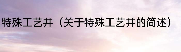 特殊工艺井（关于特殊工艺井的简述）