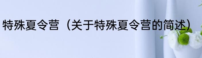 特殊夏令营（关于特殊夏令营的简述）