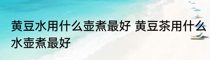 黄豆水用什么壶煮最好 黄豆茶用什么水壶煮最好