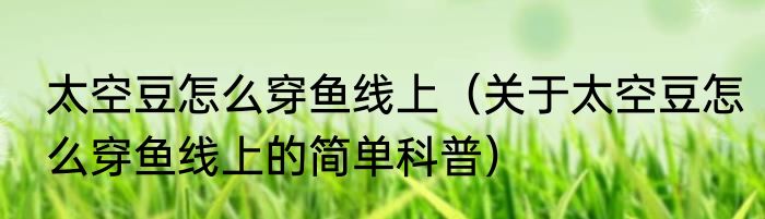 太空豆怎么穿鱼线上（关于太空豆怎么穿鱼线上的简单科普）