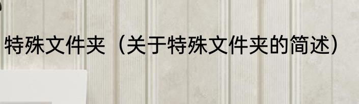 特殊文件夹（关于特殊文件夹的简述）