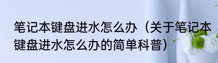 笔记本键盘进水怎么办（关于笔记本键盘进水怎么办的简单科普）
