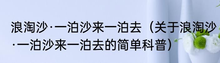浪淘沙·一泊沙来一泊去（关于浪淘沙·一泊沙来一泊去的简单科普）