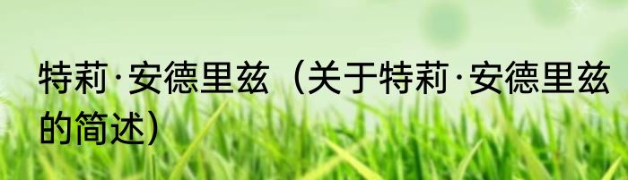 特莉·安德里兹（关于特莉·安德里兹的简述）