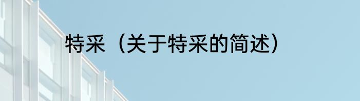 特采（关于特采的简述）